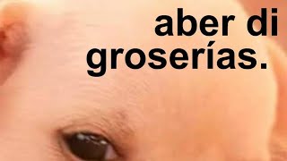 aber di groserías [upl. by Lishe]