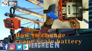 How To Change Crane Scale Battery  HSCo [upl. by Muhammad]