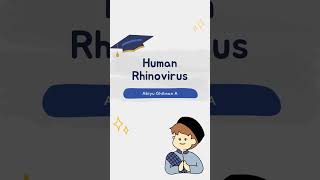 HUMAN RHINOVIRUS [upl. by Bathulda799]