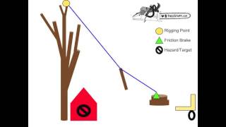 Tree Rigging  Speedline Basics  TreeStuffcom Arborist 101 [upl. by Ayidan]