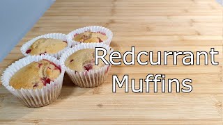 How to make Redcurrant Muffins [upl. by Aikemot]