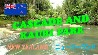 New Zealand Auckland Cascade Kauri Park Waitakere Ranges [upl. by Elockcin491]