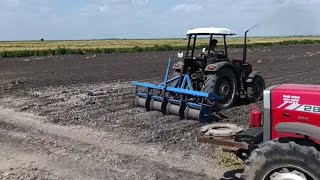 Adana Ceyhan yerfıstığı ekimi masseyferguson tarım çiftçi mısır [upl. by Rees]