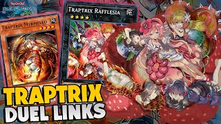 TRAPTRIX NO DUEL LINKS O DECK PODIA SER MELHOR [upl. by Yelrak925]