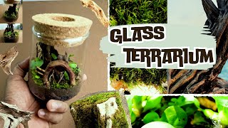 Small Open Glass Terrarium  Mini Ecosystem  TERRARIOO [upl. by Laroc]