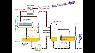 176 Ammonia Metabolism [upl. by Penny]