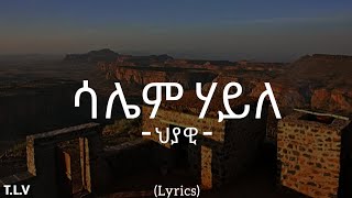 Saliem Haile  Hyawi ህያዊ  New Tigrigna Music 2024 lyrics [upl. by Maryjo]