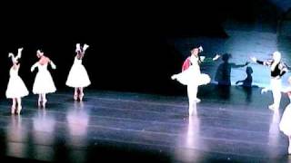 Ballet Trocadero Part of Swan Lake [upl. by Iatnahs]