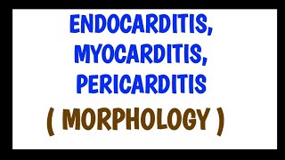 Endocarditis Myocarditis and Pericarditis  Morphology [upl. by Ardnuasac257]