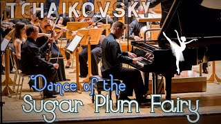 Tchaikovsky  Dance of the Sugar Plum Fairy  Piano amp Orchestra [upl. by Akiemehs466]