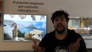 El caso de un Perezoso gigante en Bariloche [upl. by Henricks111]