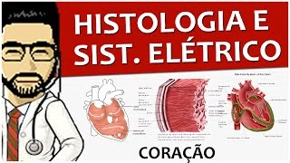 Coração 05  Histologia e Sistema elétrico  Vídeo aula de Sistema circulatório [upl. by Aiksa289]