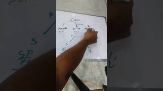 quot📐 Learn the basics of conics in under 60 seconds 🚀  conics mathshorts viralvideo [upl. by Nagey]