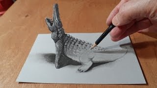 How To Draw A 3d Crocodile [upl. by Pugh]