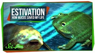 Estivation How Mucus Saved My Life [upl. by Joris196]