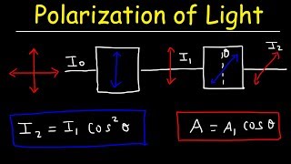 Polarization of light Problems Malus Law  Intensity amp Amplitude  Physics [upl. by Bailey]