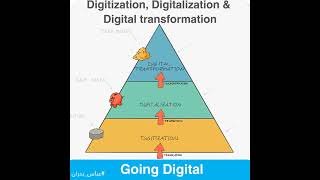 Digitization vs Digitalization [upl. by Nylednarb]