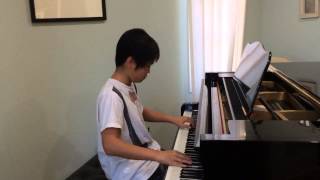 Clarity  Zedd Piano Cover l Sean Lew [upl. by Imuyam844]