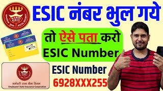 अपना ESIC नंबर कैसे पता करें  esic number kaise pata kare  esic number kaise nikale  esic number [upl. by Bringhurst]