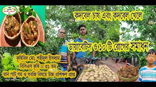 কদবেল চাষ এবং কদবেল খেলে ডায়াবেটিস সহ ১০ রোগের সমাধান অাছে। [upl. by Marigolda263]