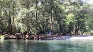 Promised Land Bellingen NSW amp The Sky Walk at Dorrigo National Park NSW [upl. by Notsew]