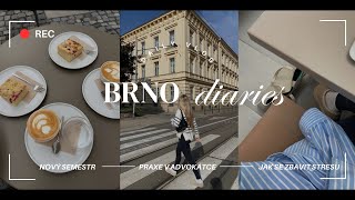 BRNO DIARIES II čtvrťák na právech praxe v advokátce amp jak se vyrovnat se stresem [upl. by Cutcliffe]