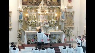 The New Mass vs the Traditional Latin Mass Full Movie [upl. by Nirel374]