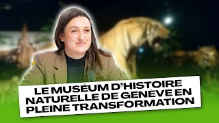 Le Muséum d’Histoire naturelle de Genève en pleine transformation [upl. by Letnwahs767]