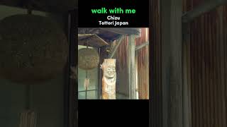 Walk With Me in Chizu  Tottori Walking Tour [upl. by Linzer]