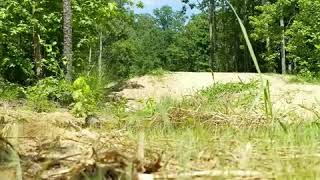 Jumping at Pocahontas State Park [upl. by Esch307]