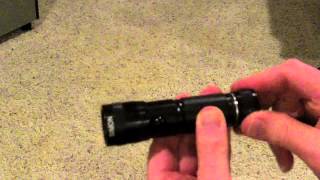 UV Blacklight Flashlight  Best Dog and Cat Urine Light I Ever Purchased [upl. by Eimmak]