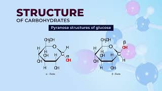 Carbohydrates  Structure and Physicochemical Properties [upl. by Beberg]