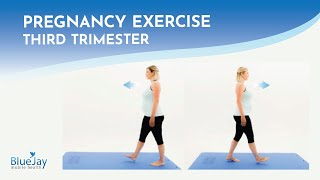 Pelvic Floor Activation With Walking  Third Trimester Pregnancy Exercise [upl. by Laehctim]