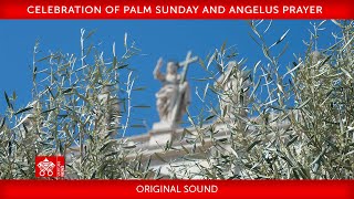 24 March 2024 Celebration of Palm Sunday Angelus prayer  Pope Francis [upl. by Lavella]