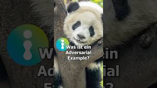 Was ist ein Adversarial Example KI Wissen [upl. by Levin]