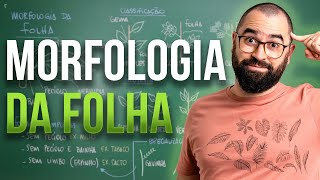 Morfologia da Folha  Aula 17  Módulo 5 Botânica [upl. by Gavrah830]