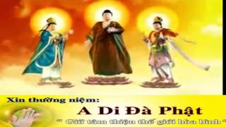 Nhạc Niệm PHật Nam Mô Bổn Sư Thích Ca Mâu Ni PHậtA Di Đà PHật Quán Thế Âm Bồ Tát Tổng Hợp [upl. by Akiemehs]