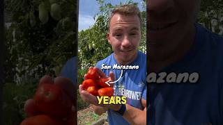 The Difference between Heirloom Hybrid amp GMO Seeds and Plants [upl. by Grizel]