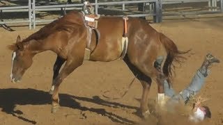 Ranch Broncs  2018 Will Rogers Range Riders Rodeo  Thursday [upl. by Nosle]