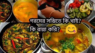 গরমের চমৎকার রান্না আজ আমার ঘরেDelicious Lunch Routine Bangladeshi Blogger Mukta [upl. by Eleaffar]