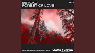 Forest of Love Stan Kolev amp Matan Caspi Remix [upl. by Ashwell]