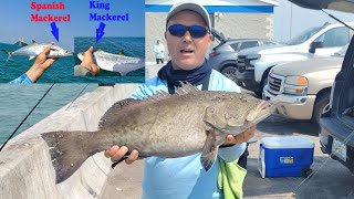 Grouper Kings amp Spanish Mackerel Madness at Skyway fishing Pier [upl. by Eckhardt]