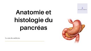 Anatomie et histologie du pancréas [upl. by Wilhelmina137]