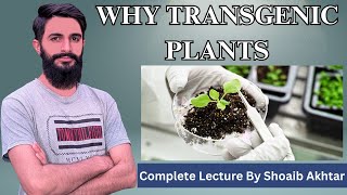 Why Transgenic plants Complete Lecture by Shoaib Akhtar [upl. by Soiritos]