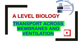 A level  biology  Edexcel  Topic 2A  membranes  gas exchange  ventilation [upl. by Lara]