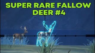 Super Rare Fallow Deer 4 Call of the Wild theHunter [upl. by Roux]