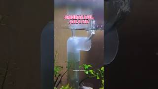 Filter Aquarium Sejuta Umat filterundergravel filterugf [upl. by Wolfram]