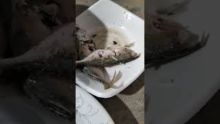 Manihapon ta isda inunOnan subscribe food boytamsi [upl. by Hsakaa]