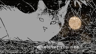 Original Song quotLike Creatures Doquot by Chelsea Caroline Moon Kitty Cat Music [upl. by Einahpts698]