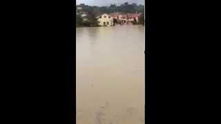 Alluvione Senigallia Borgo Bicchia sottacqua [upl. by Marmion235]